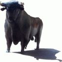 Фондовый рынок США сократит вывод средств.